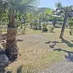Caban